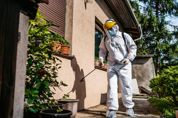 Best Local Pest Control Services  in Newton, IA