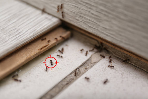 Best Exterminator Services  in Newton, IA