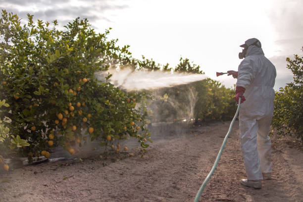 Best Best Pest Control Near Me  in Newton, IA
