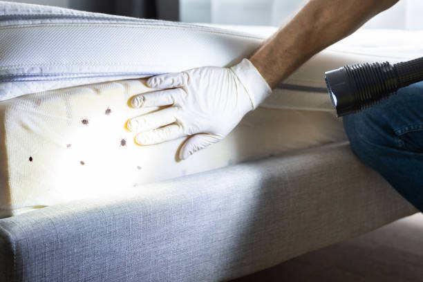 Best Pest Control Near Me in Newton, IA