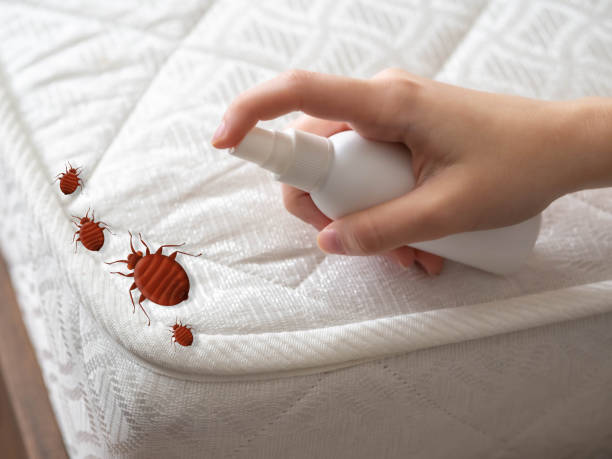 Best Best Pest Control Near Me  in Newton, IA